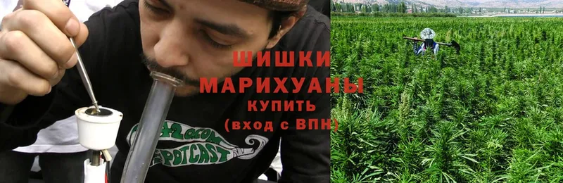 Каннабис OG Kush  где можно купить   mega рабочий сайт  Рязань 